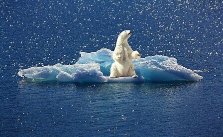  Animali e clima: una sfida impossibile? 