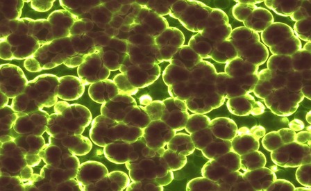  Il nanomondo dai virus ai transistor 