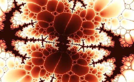  Il viaggio della cellula sui biomateriali 
