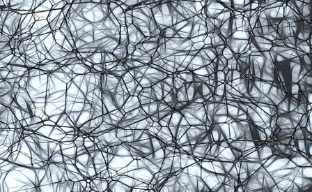  L'enigma del neurone giovane 