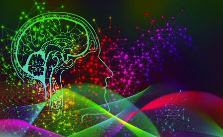  Gli esploratori del cervello 