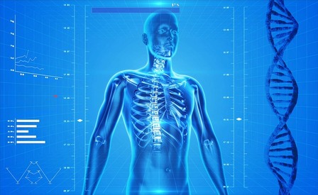 Le tante mappe dell'adroterapia 
