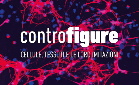  Controfigure 