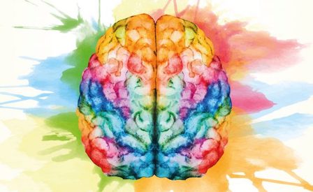  Le mappe dell'amore nel cervello 