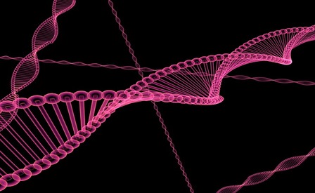  La mappa del DNA 