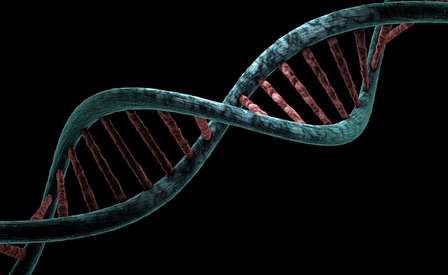  Il nostro futuro CRISPR  