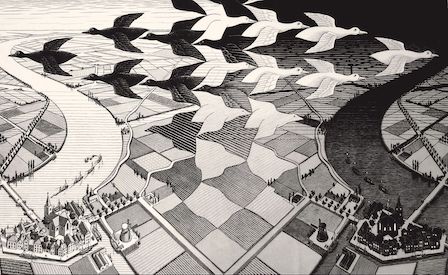  E Poi C' M.C. Escher 